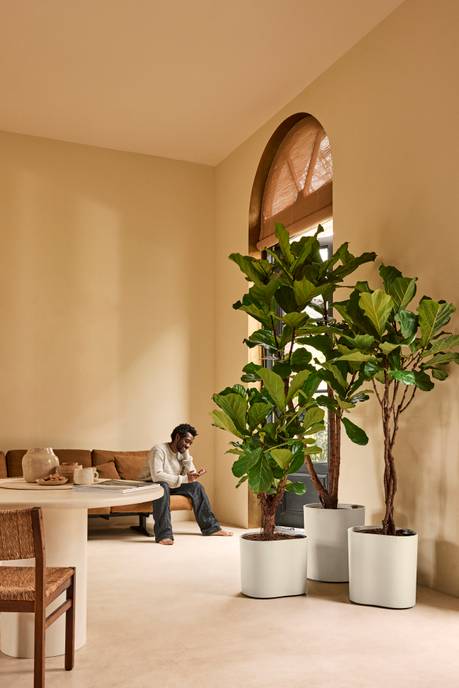 eden aquacare low 40cm blanc lin